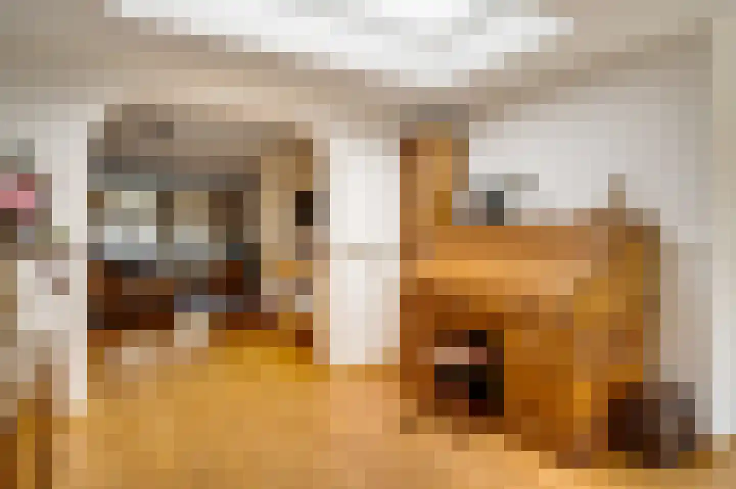 Merwijckstraat 46 Sevenum thumbnail 29