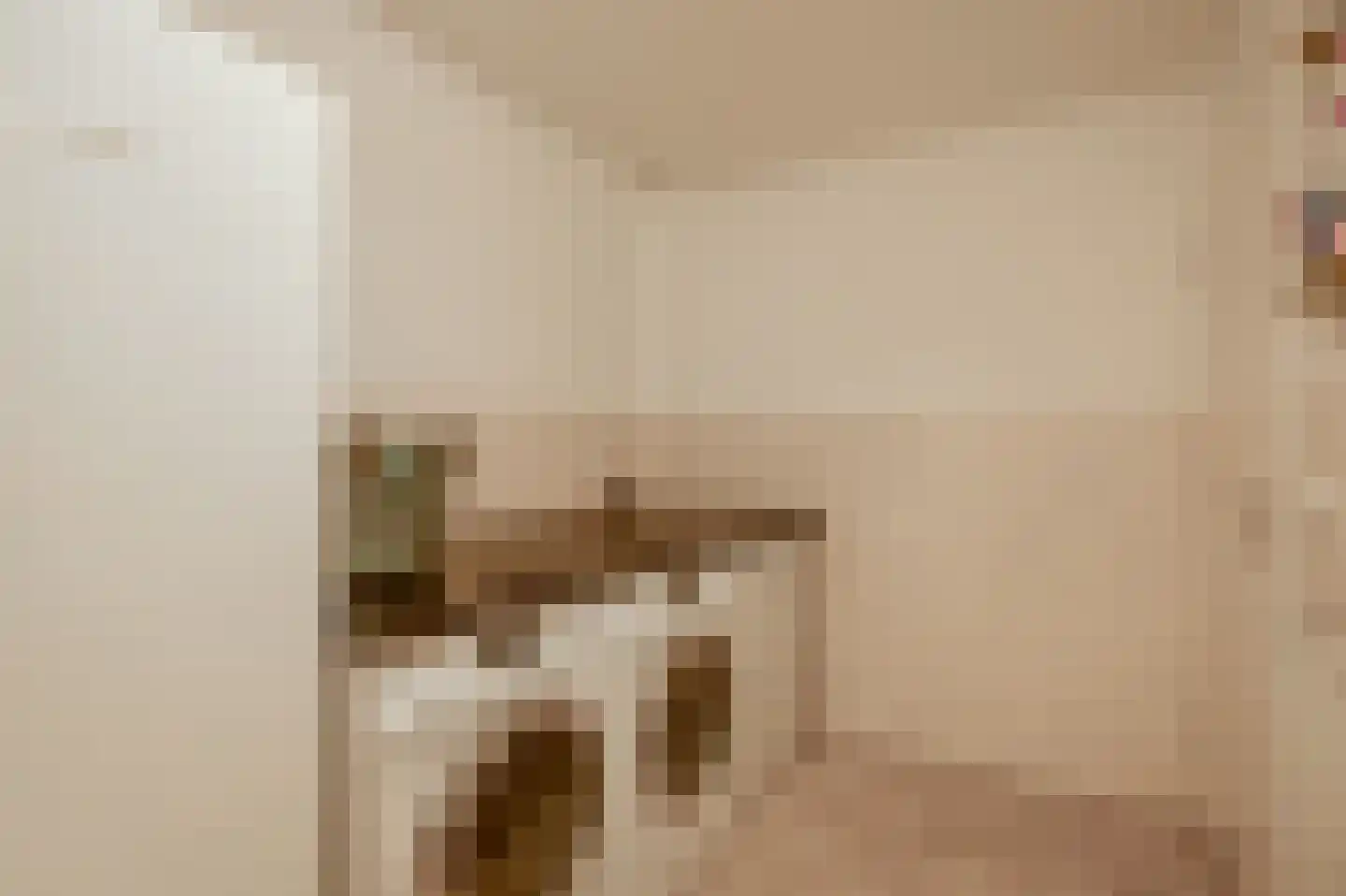 Merwijckstraat 46 Sevenum thumbnail 33