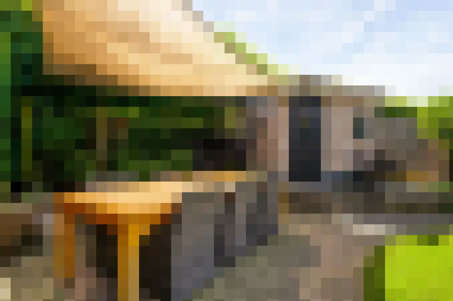 Merwijckstraat 46 Sevenum thumbnail 38