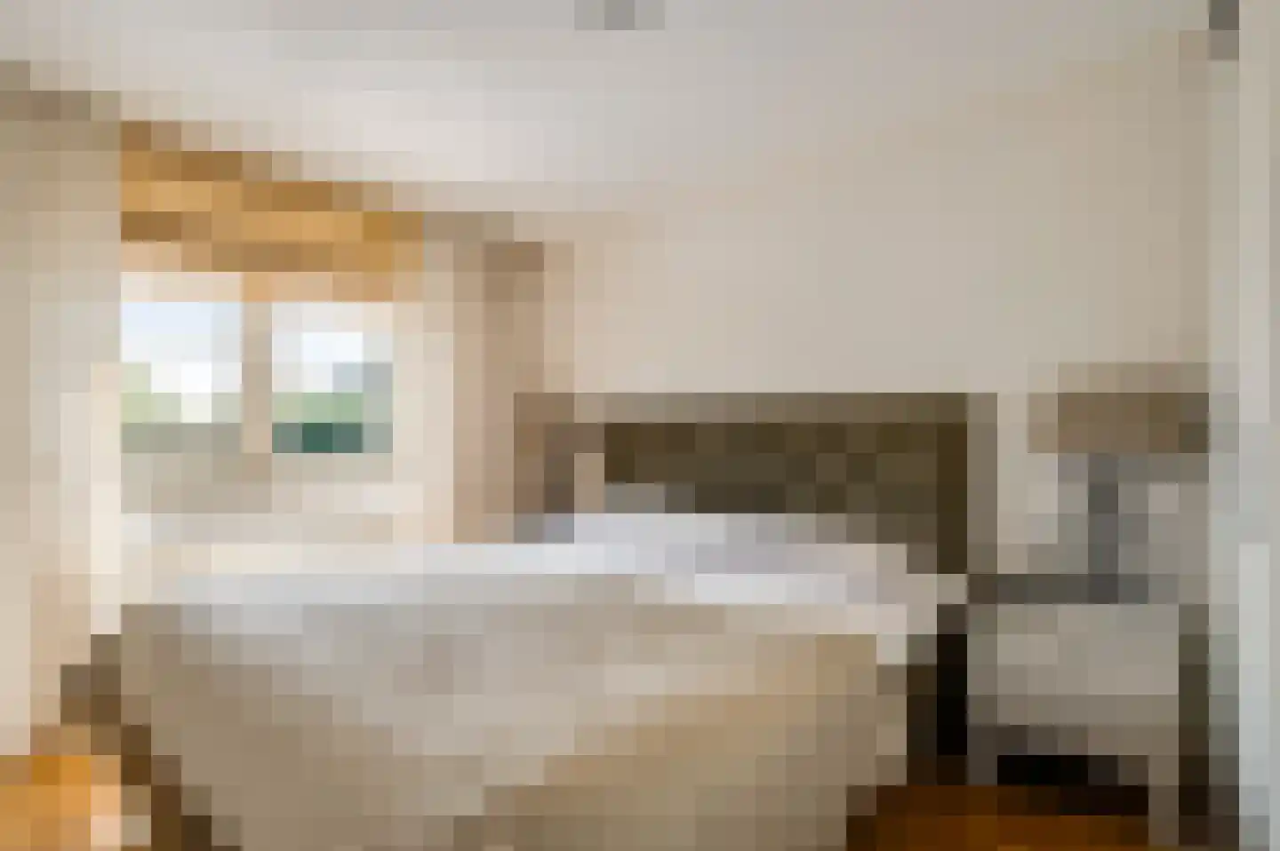 Merwijckstraat 46 Sevenum thumbnail 40