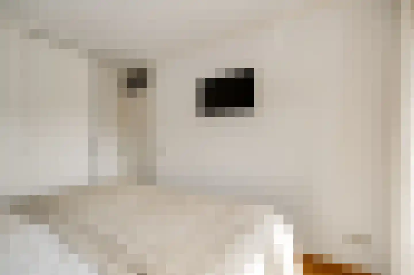 Merwijckstraat 46 Sevenum thumbnail 41