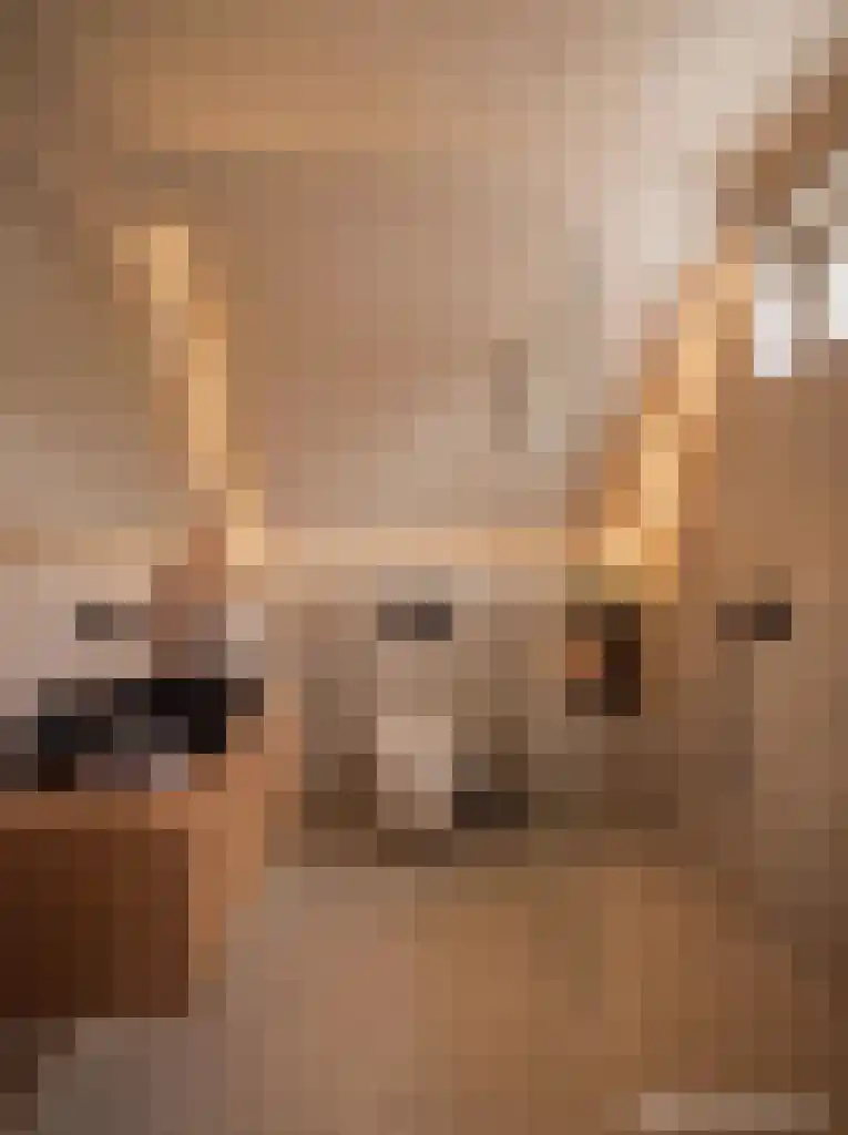 Merwijckstraat 46 Sevenum thumbnail 43