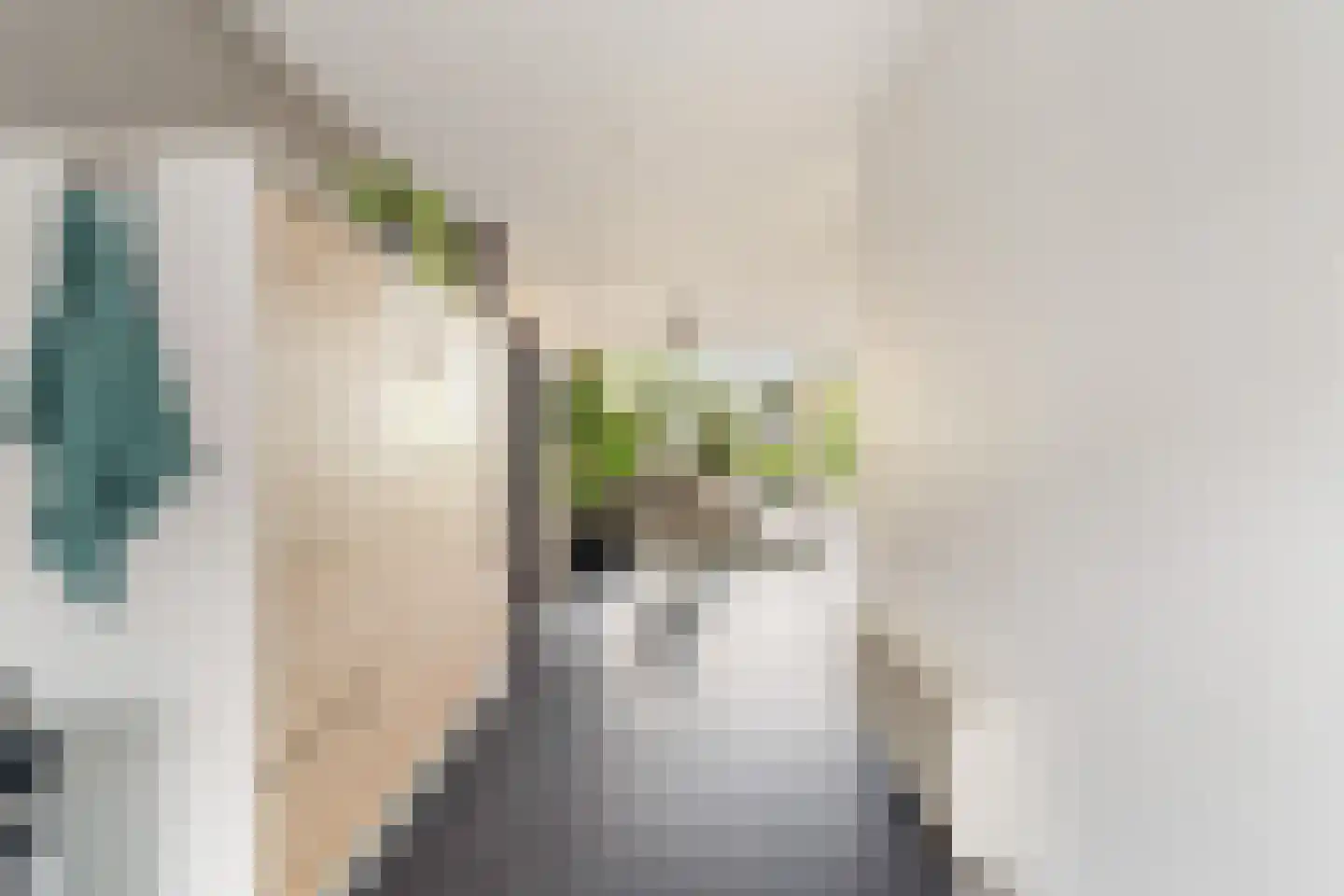Mesdag 27 Monster thumbnail 19