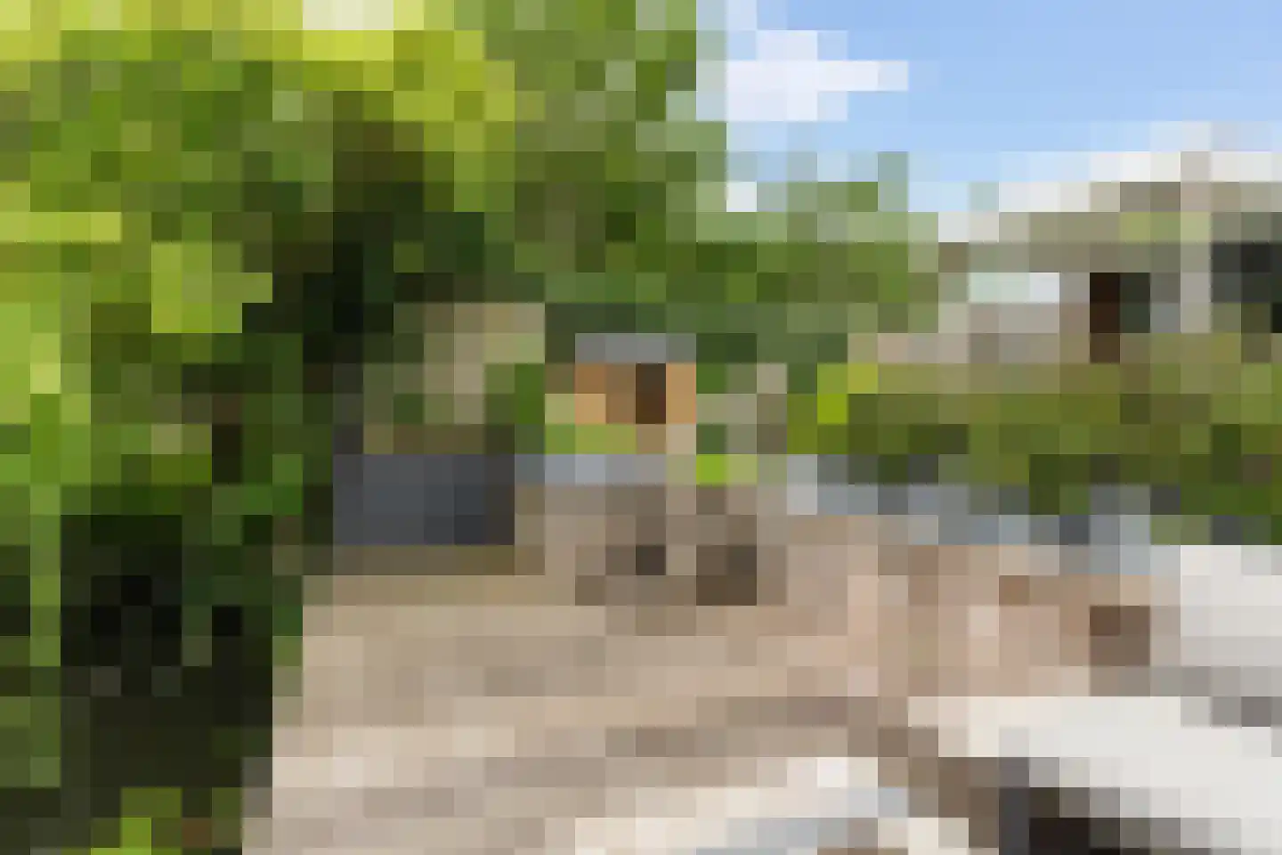 Mesdag 27 Monster thumbnail 27