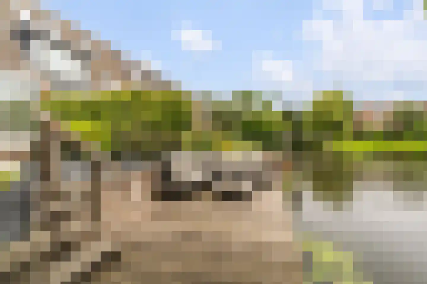 Mesdag 27 Monster thumbnail 29