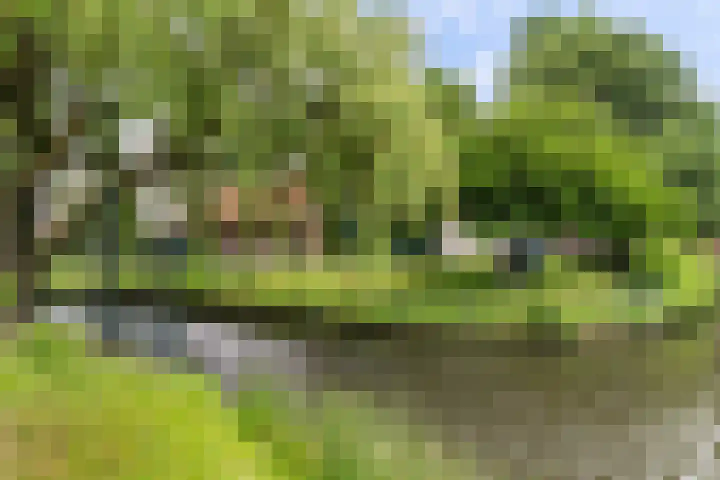 Mesdag 27 Monster thumbnail 51