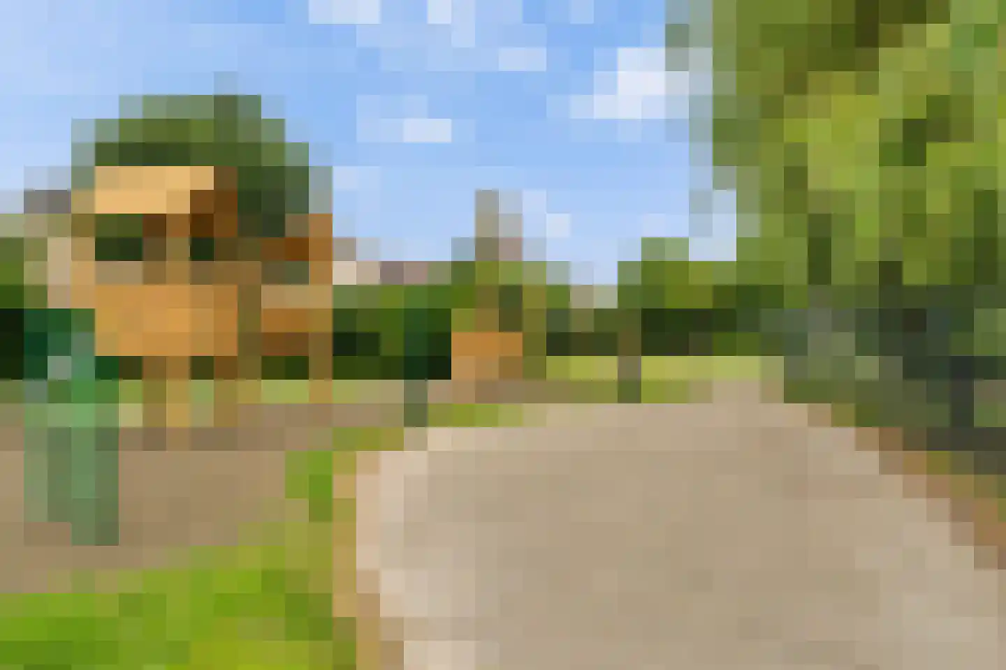 Mesdag 27 Monster thumbnail 53