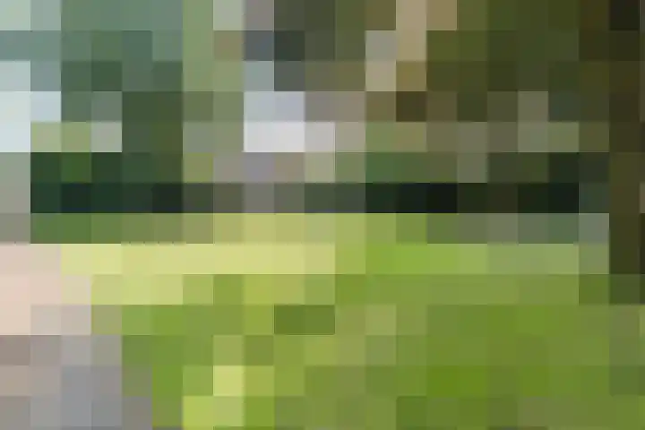 Mesdaghof 9 Nijkerk thumbnail 15