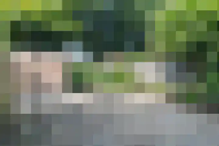 Mesdaghof 9 Nijkerk thumbnail 16