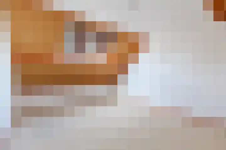 Mesdaghof 9 Nijkerk thumbnail 35