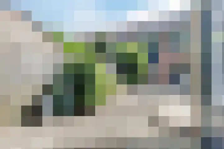 Mesdaghof 9 Nijkerk thumbnail 4