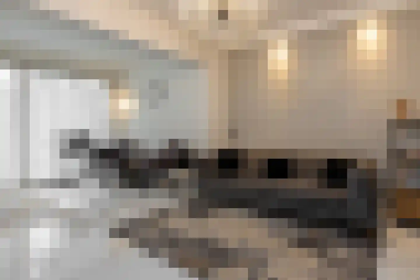 Mesdaghout 1 Nunspeet thumbnail 13