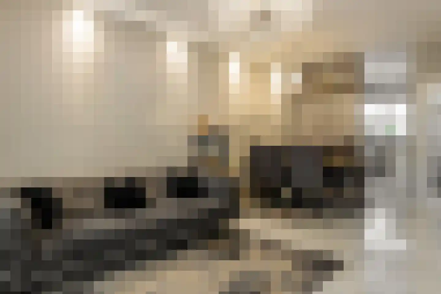 Mesdaghout 1 Nunspeet thumbnail 15