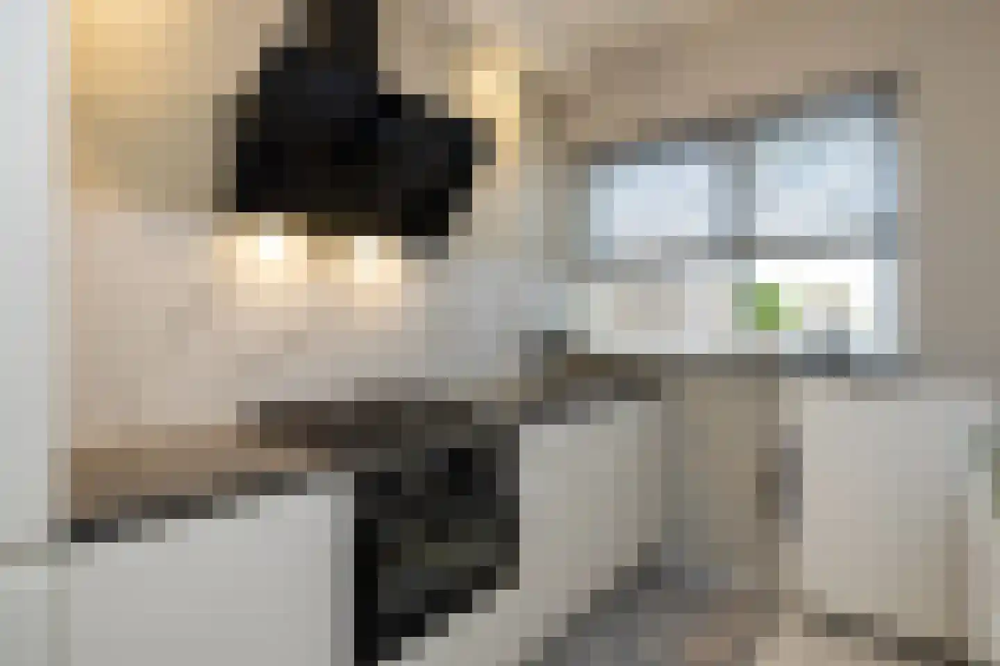 Mesdaghout 1 Nunspeet thumbnail 17