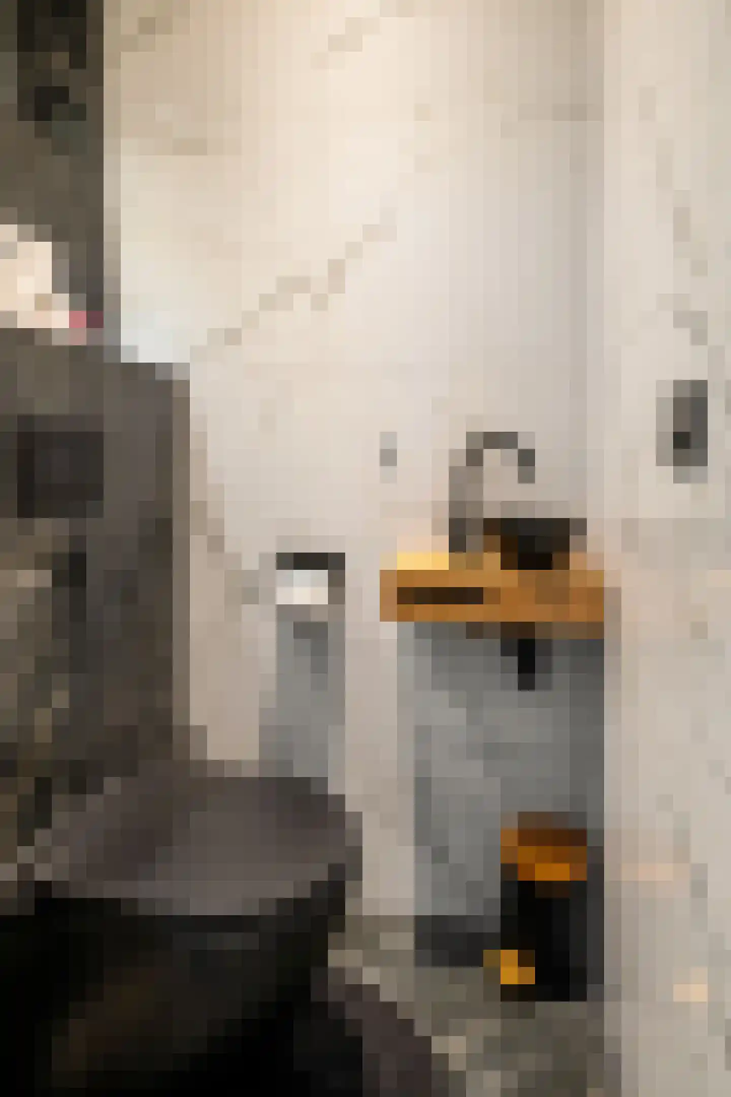 Mesdaghout 1 Nunspeet thumbnail 20