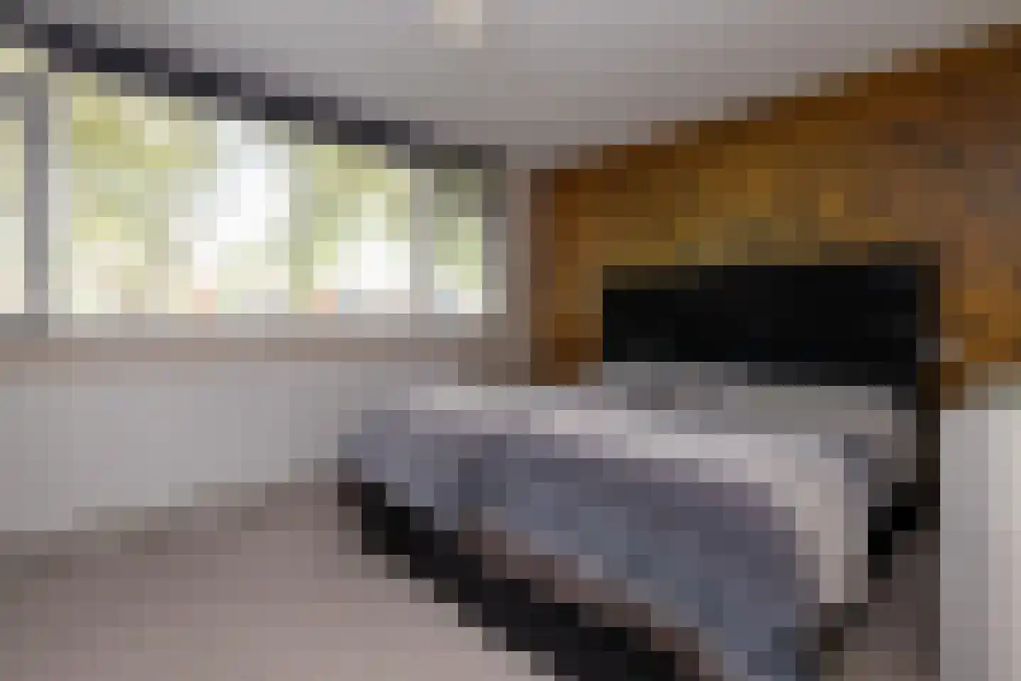 Mesdaghout 1 Nunspeet thumbnail 22