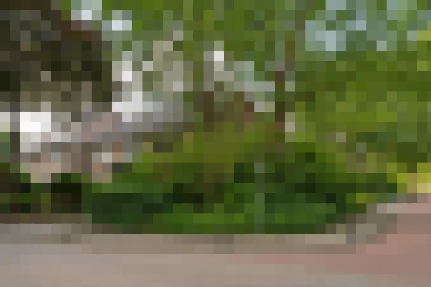 Mesdaghout 1 Nunspeet thumbnail 5