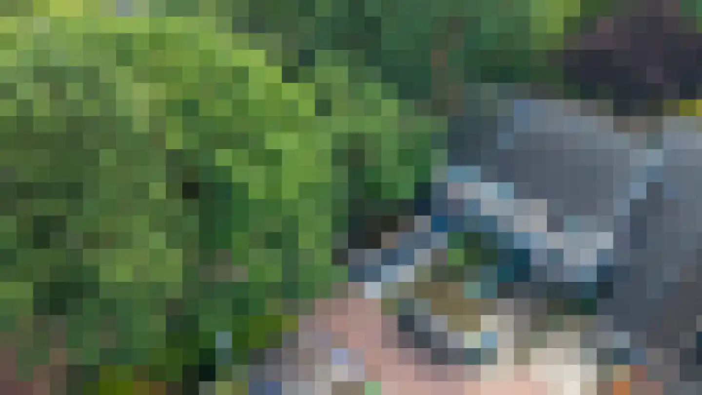 Mesdaghout 1 Nunspeet thumbnail 6