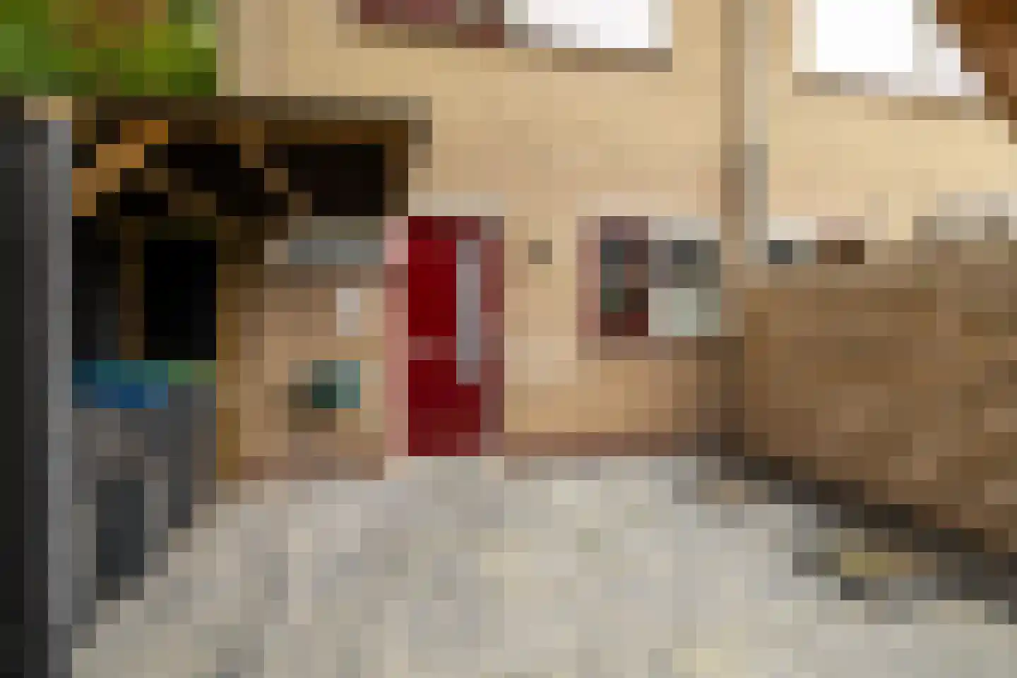 Mesdaghout 1 Nunspeet thumbnail 9