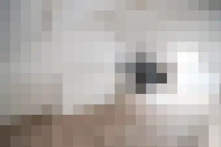 Mesdaghout 29 Nunspeet thumbnail 30