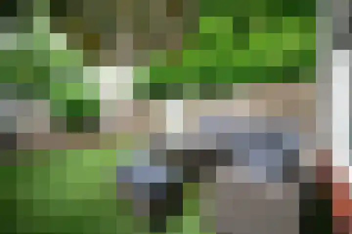 Mesdaghout 29 Nunspeet thumbnail 31