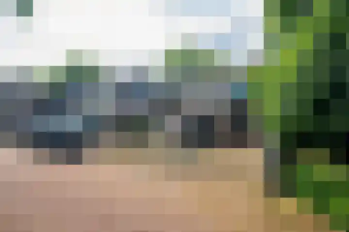 Mesdaghout 29 Nunspeet thumbnail 32