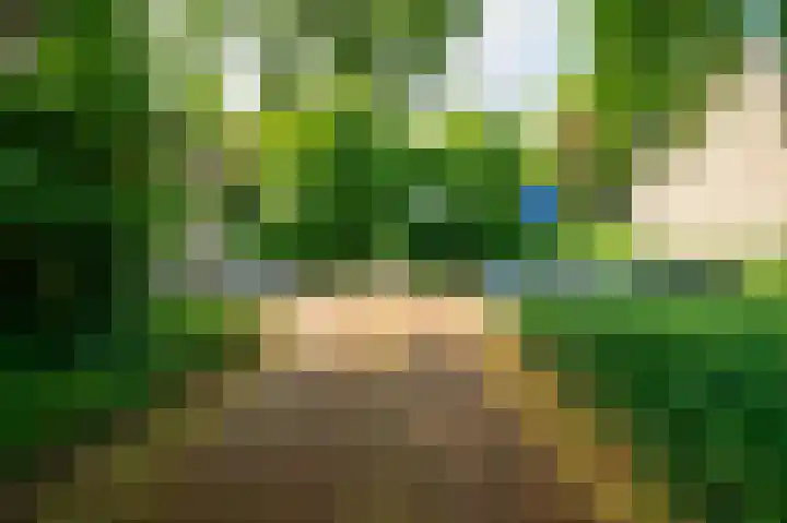 Mesdaghout 29 Nunspeet thumbnail 33