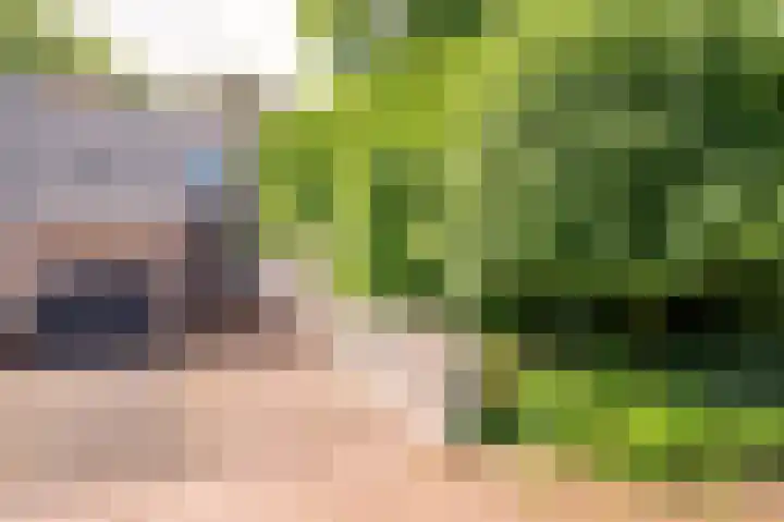Mesdaghout 29 Nunspeet thumbnail 6