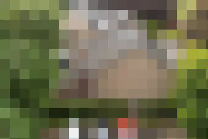 Mesdaghout 29 Nunspeet thumbnail 8