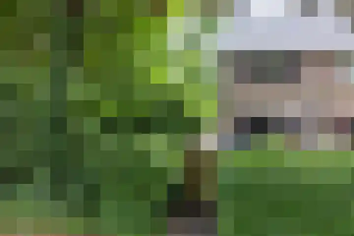 Mesdaghout 29 Nunspeet thumbnail 9