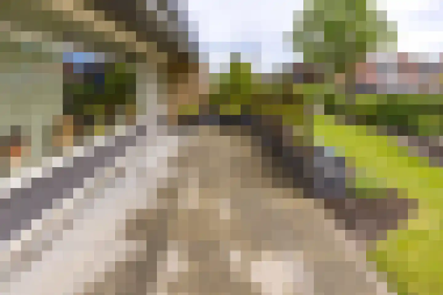 Mesdaglaan 1 Musselkanaal thumbnail 32