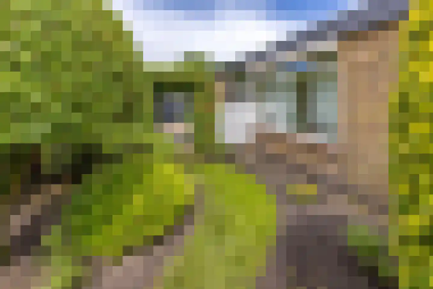 Mesdaglaan 1 Musselkanaal thumbnail 34