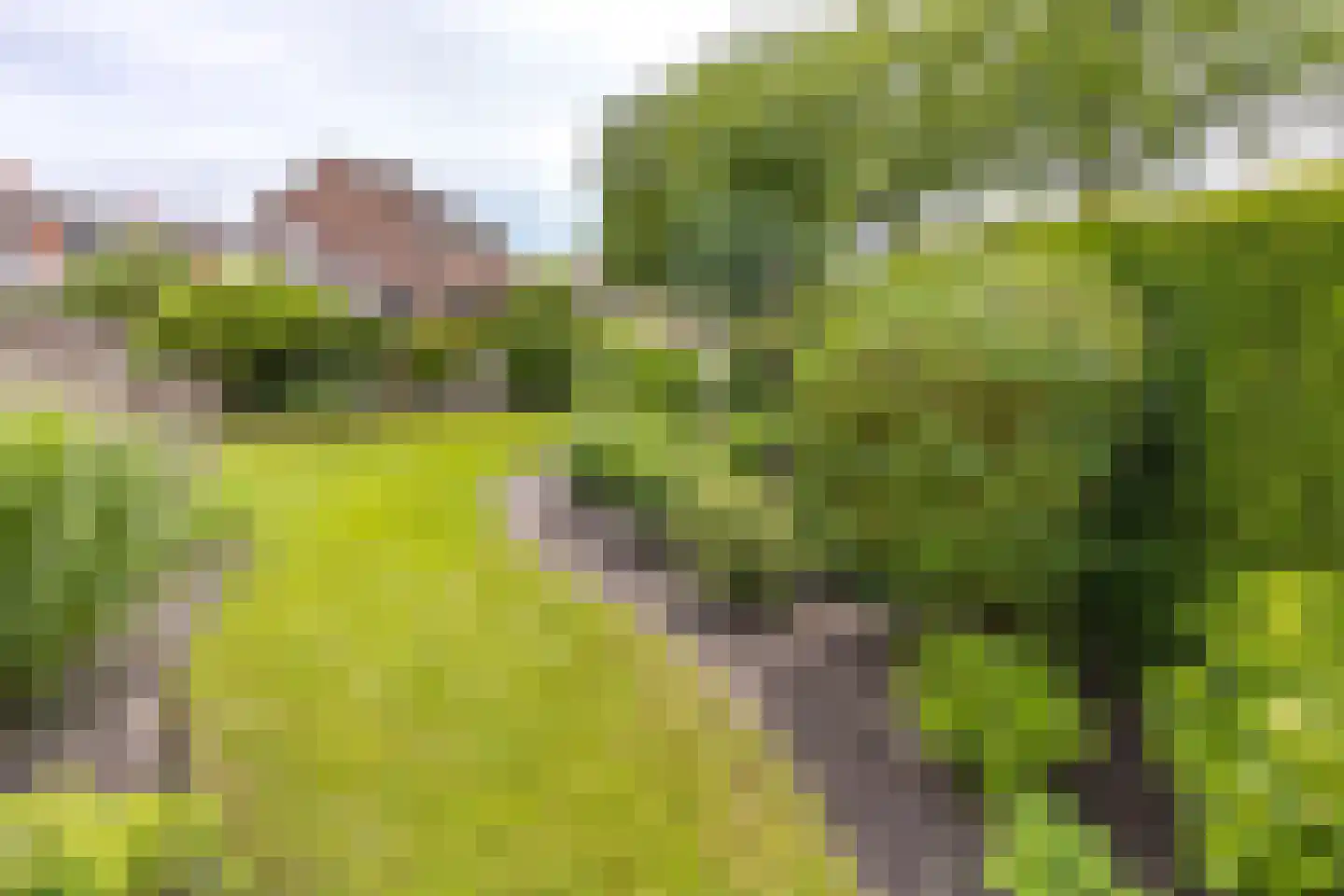 Mesdaglaan 1 Musselkanaal thumbnail 35