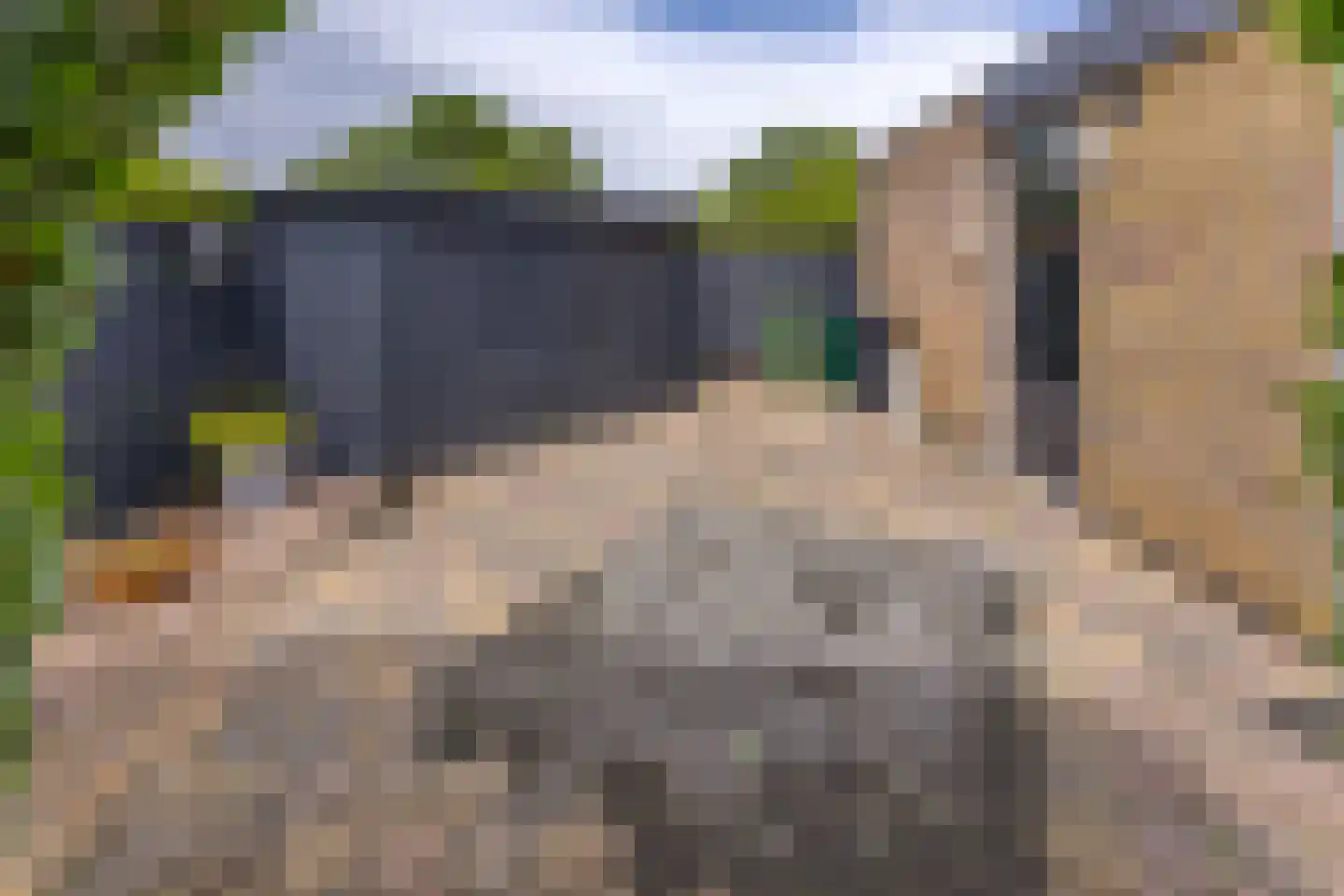 Mesdaglaan 1 Musselkanaal thumbnail 36