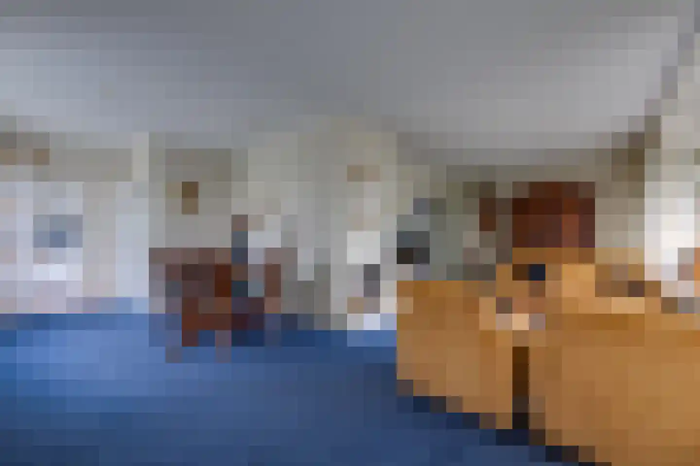 Mesdaglaan 1 Musselkanaal thumbnail 8