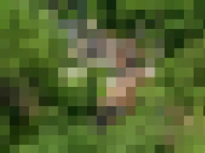Mesdaglaan 10 A Bosch en Duin thumbnail 100