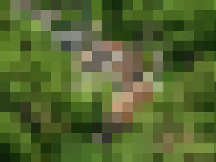 Mesdaglaan 10 A Bosch en Duin thumbnail 101