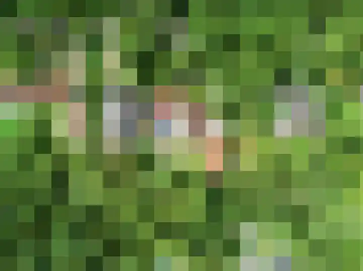 Mesdaglaan 10 A Bosch en Duin thumbnail 105