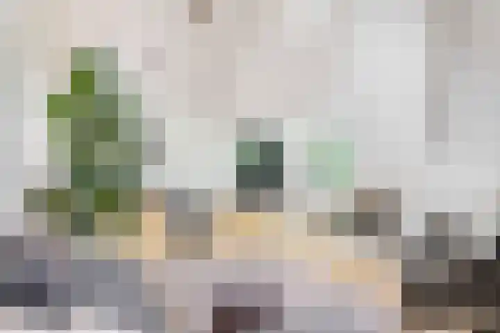 Mesdaglaan 10 A Bosch en Duin thumbnail 18