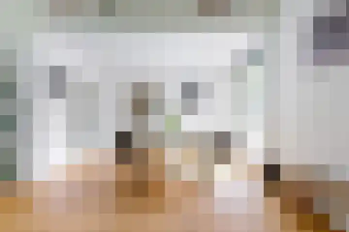 Mesdaglaan 10 A Bosch en Duin thumbnail 23