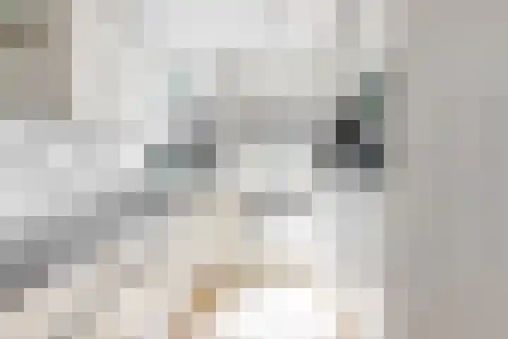 Mesdaglaan 10 A Bosch en Duin thumbnail 26