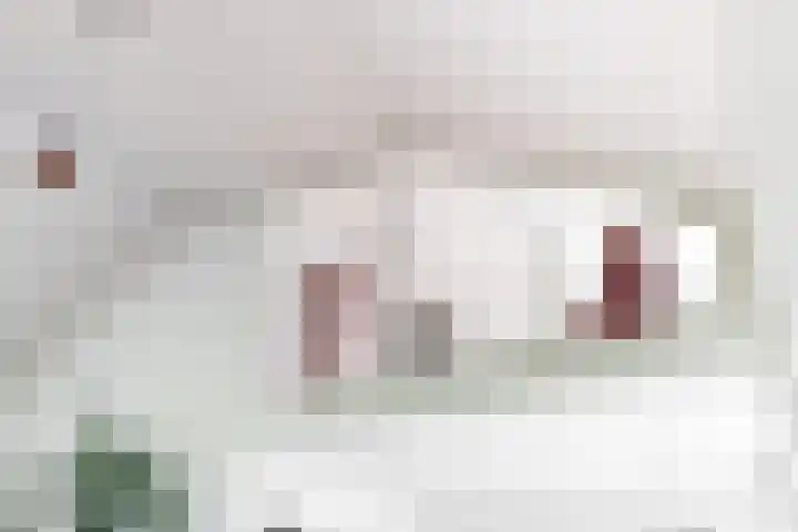 Mesdaglaan 10 A Bosch en Duin thumbnail 30