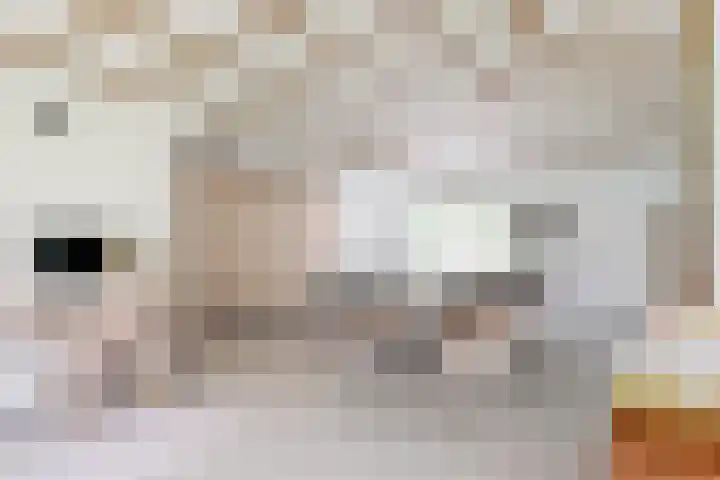 Mesdaglaan 10 A Bosch en Duin thumbnail 34