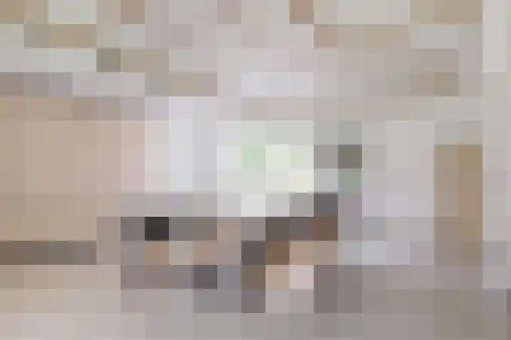Mesdaglaan 10 A Bosch en Duin thumbnail 35