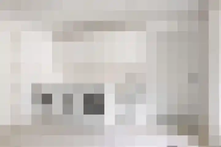 Mesdaglaan 10 A Bosch en Duin thumbnail 38