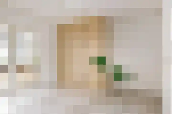Mesdaglaan 10 A Bosch en Duin thumbnail 39