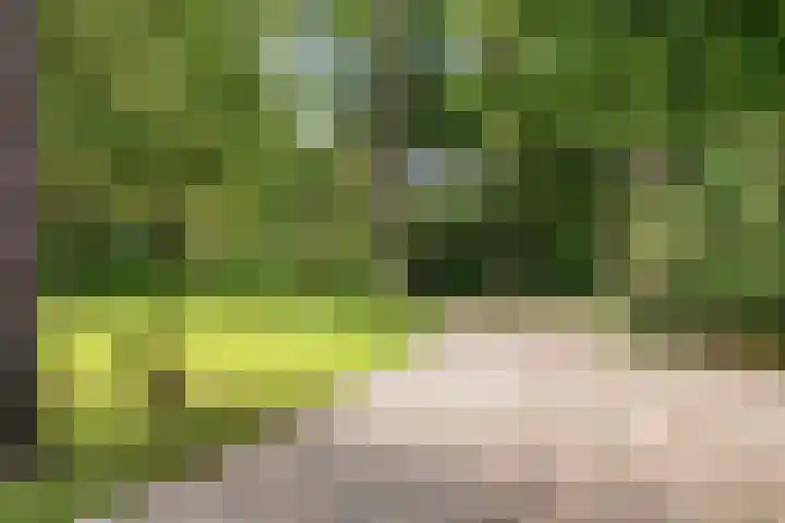 Mesdaglaan 10 A Bosch en Duin thumbnail 4
