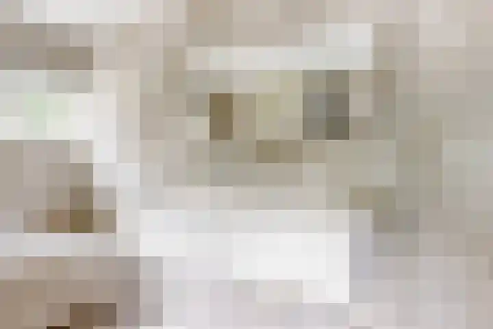 Mesdaglaan 10 A Bosch en Duin thumbnail 45
