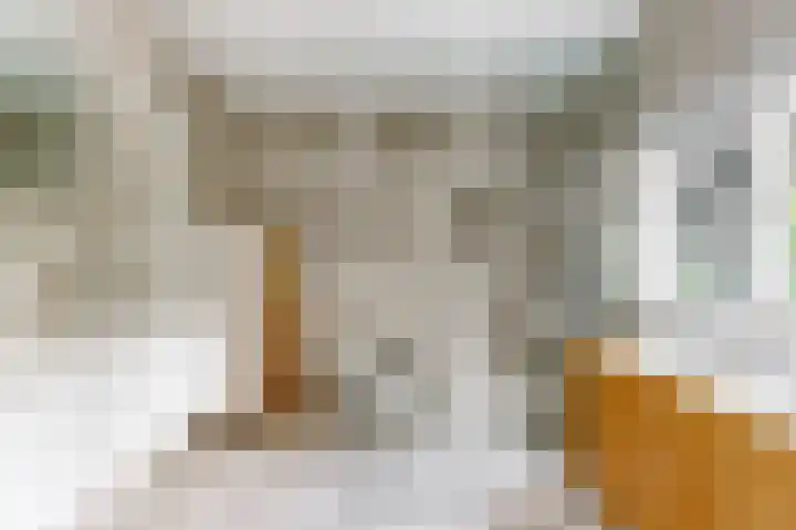 Mesdaglaan 10 A Bosch en Duin thumbnail 46