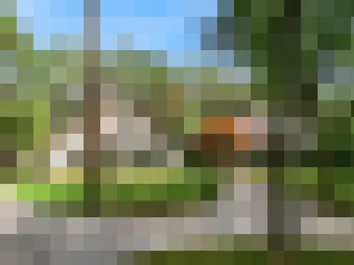 Mesdaglaan 10 A Bosch en Duin thumbnail 5
